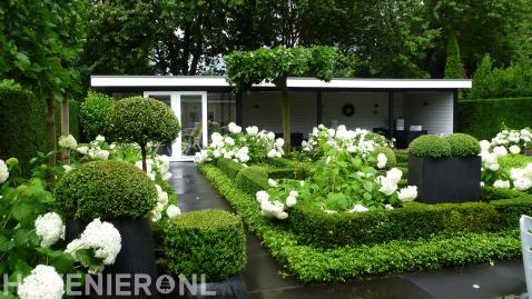 Romantische en klassieke tuin met buxus en witte hortensia's 3