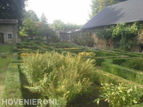 Klassieke tuin met buxushagen