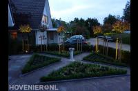 Voortuin met bestrating en driehoekige borders omgeven met buxus