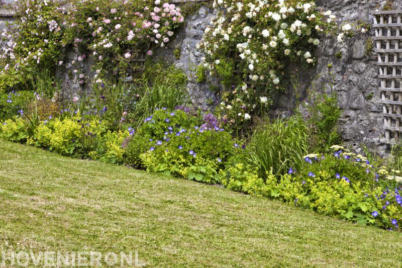 Hoveniersbedrijf A. Breedveld