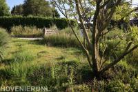 landelijke tuin met veel boomsoorten en siergrassen-florera.nl
