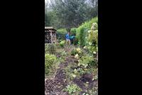 Dienstverlening leffers