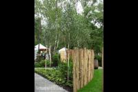 Hoveniersbedrijf Hans Verstraaten