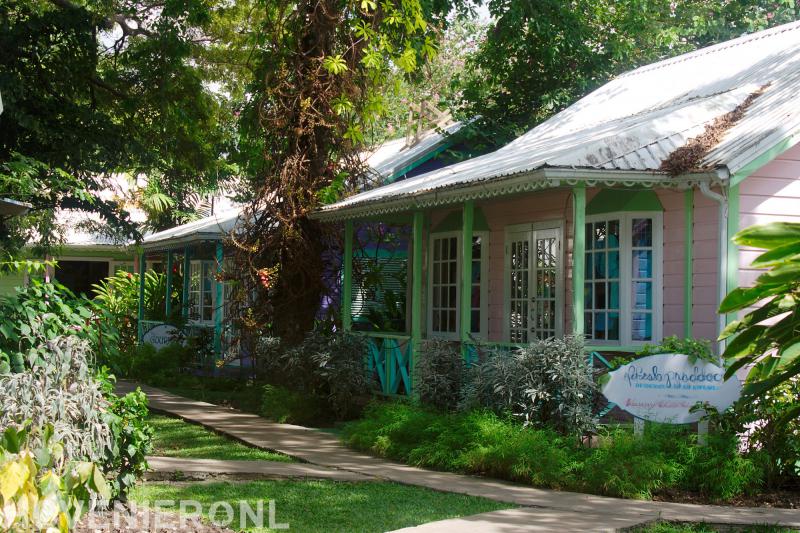 Groencentrum/Hoveniersbedrijf Ben Kamps