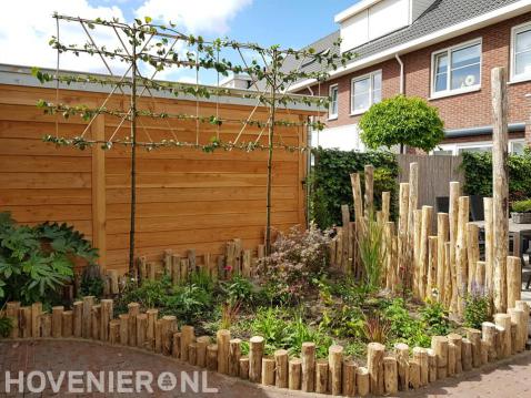 Border met nieuwe beplanting en leibomen