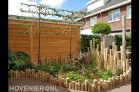 Border met nieuwe beplanting en leibomen