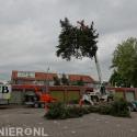 Brand Boomverzorging