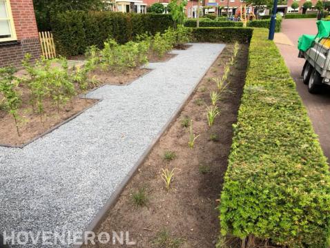 Voortuin met taxushaag, nieuwe planten en split