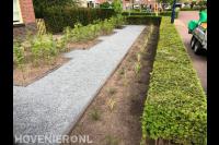Voortuin met taxushaag, nieuwe planten en split