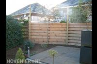 Jonge leibomen voor houten schutting