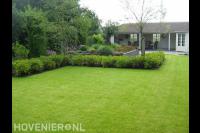 Landschapstuin met groot gazon en veen groen