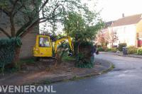 Coniferen verwijderen met minigraver