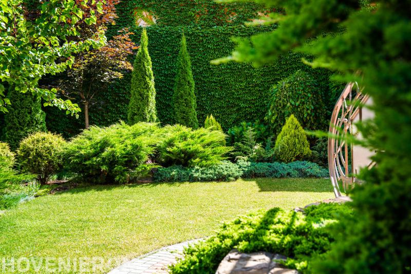 Dennis van der Ven Hoveniersbedrijf