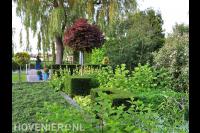 Natuurlijke tuin met veel groen