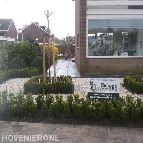 Voortuin met grind, buxus en bestrating van betontegels 1