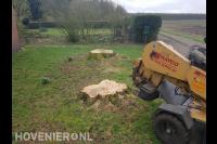Boomstronk verwijderen met stobbenfrees