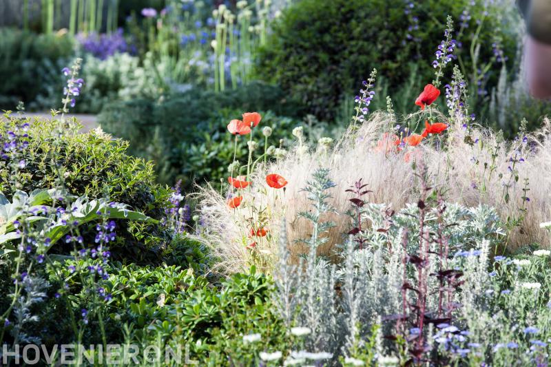 Hoveniersbedrijf Voors