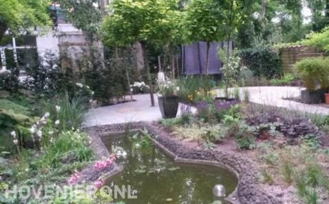 Tuin met vijver