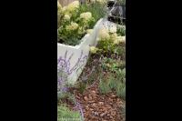 Hoveniersbedrijf M. Maarsen