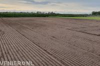 Mini Loonwerk Jacco Engelsma