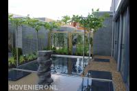 Vijver met waterornament en terras met dakplatanen