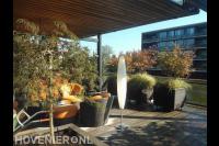 Dakterras met vlonder en plantenbakken