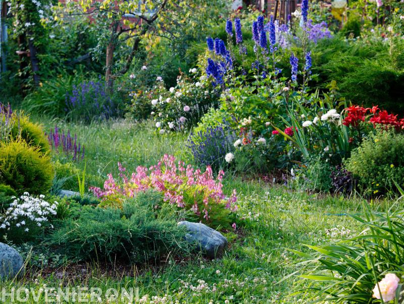 Hoveniersbedrijf Janus van Beurden