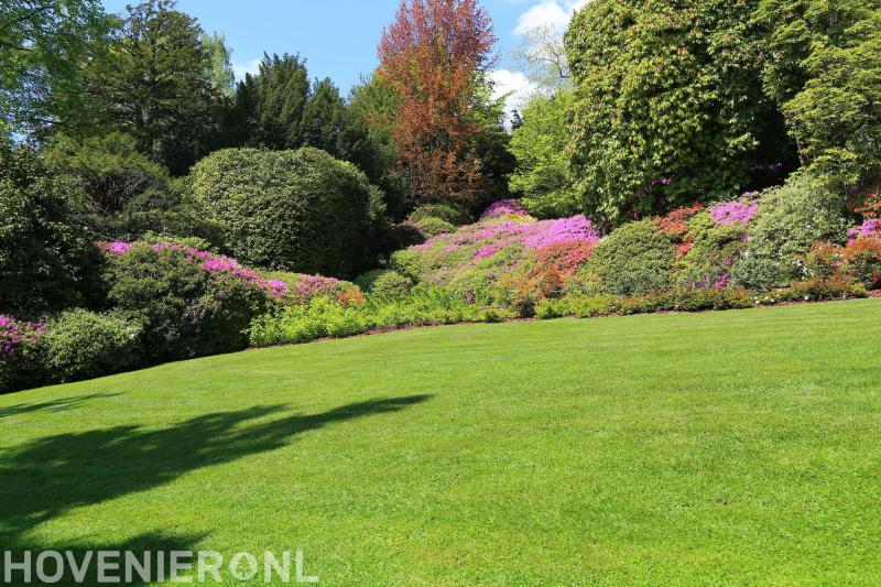 Verkleij Boomverzorging