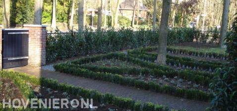 Aanbrengen van nieuwe beplanting in voortuin