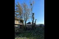 Boom gekapt en perceel opgeruimd