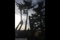 Boom kappen met inzet van hoogwerker