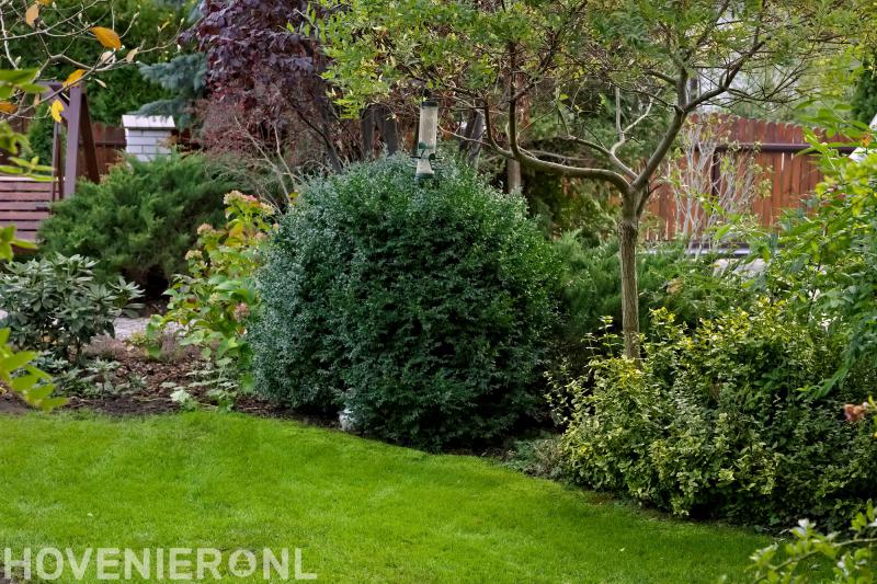 Hermans Tuin- en bestratingsspecialisatie