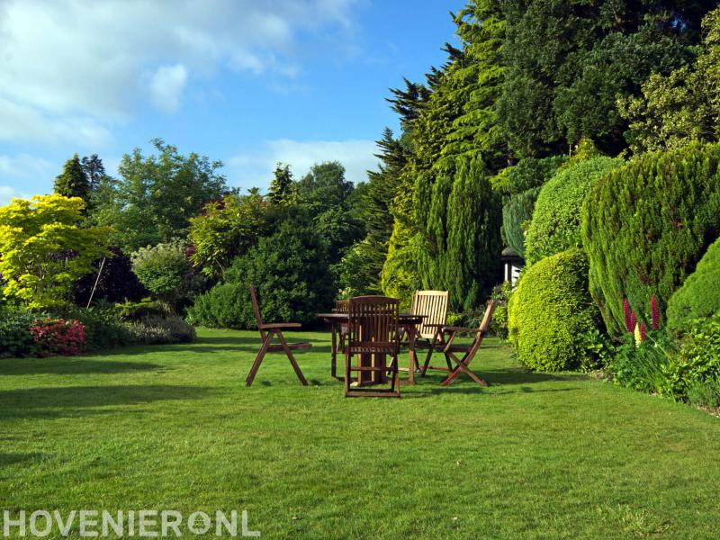 Van Voorthuizen Boom en Groenverzorging