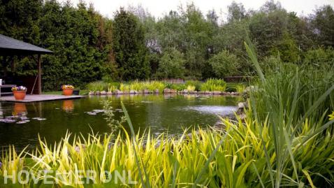 Grote natuurlijke vijver