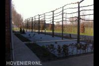 Onderhoudsarme boerderijtuin met leibomen 2