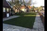 Voortuin met gazon, betontegels en haag