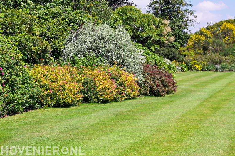 M. van der Spek Groenprojecten B.V.