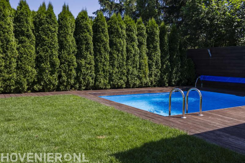 Ale de Boer Hovenier