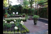 Tuin met vijver en grote pergola 3