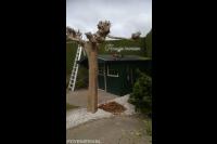 Hoveniersbedrijf Joël Breedveld