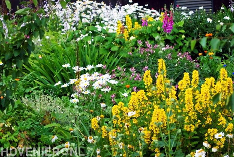 Gardeniersbedrijf Dattin