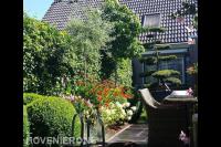 Achtertuin met veel groen en kleurrijke beplanting