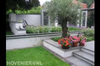 Verhoogd terras met olijfboom langs smalle vijver 1