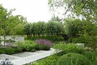 Tuin met veel groen aan waterkant 1