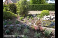 Kleine vijver en nieuwe beplanting