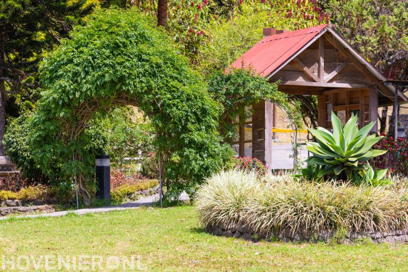 Hoveniersbedrijf B. van den Berg