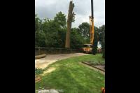 Toppunt Boomverzorging & Boomrooierij