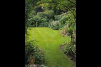 Groene tuin met gazon en metalen pergola met klimplanten
