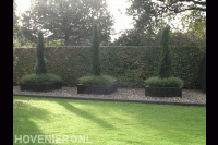 Grasveld en groenvoorzieningen