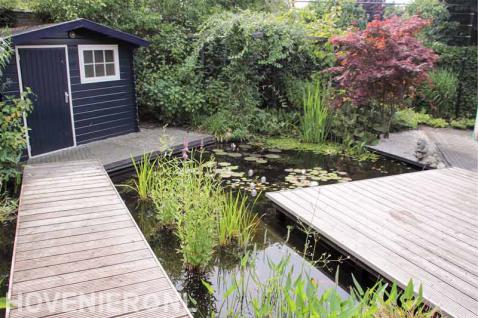 Waterplanten in vijver met vlonder